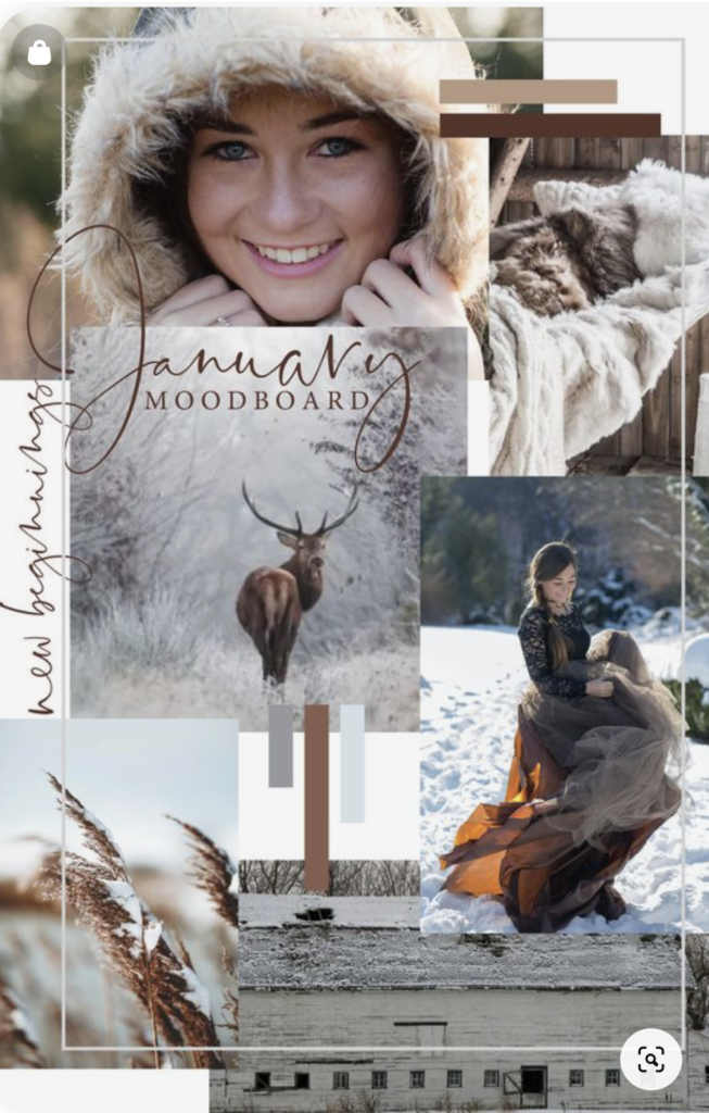 Winter-moodboard-senior-pictures-Paige-P-Photography-NJ
